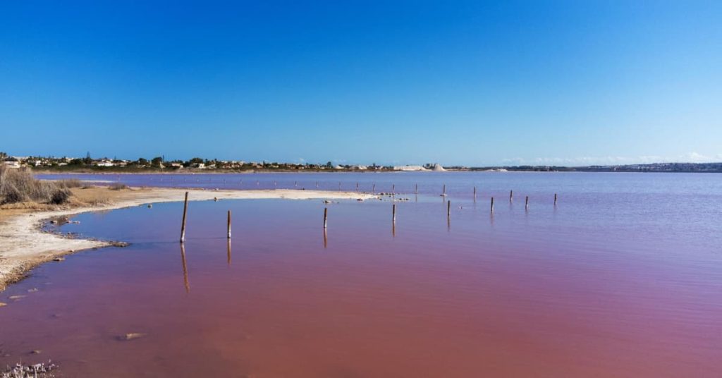 Laguna Rosa Torrevieja